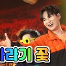 해바라기 뮤직 이미지