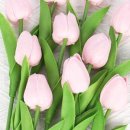 로핀스토어 이미지