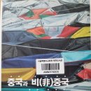 중국과 비중국 그리고 인터 차이나 - 백원담 엮음 이미지