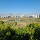 청라 노을공원 스케이트플라자 이미지