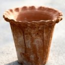 레드플라워(RED FLOWER) 이미지