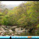 다래산장 민박 이미지