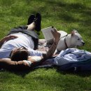 제로백피트니스 이미지