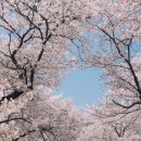 작천정5(잔디광장) 이미지