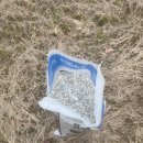 성산일출봉농업협동조합신산지점 이미지