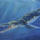 화석농장 이미지