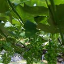 운산농장 이미지