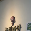 차귀도놀빛바다 | 제주 차귀도 야간 배낚시 체험 [놀빛바다호] 내돈내산 솔직후기