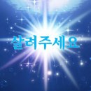 어디에서 왔니 | 브ra키오사우르스 다 어디서 왔니 | 0825-0831