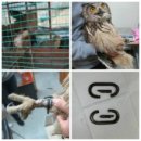 장성양계장 이미지