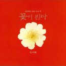 씨앗과나무
