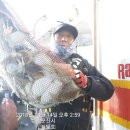 비응항PC 이미지