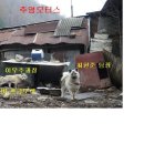 주영모터스 이미지