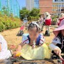 진영장등초등학교 네이버블로그
