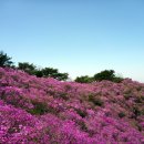 62차 정기산행안내 이미지