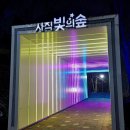 광주 사직공원 빛의 숲 &amp; 사직공원 전망대 이미지