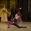 국립발레단 ’백조의 호수’ | 2026 국립발레단 -백조의 호수 관람 후기 🦢