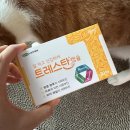 (주)다원약품 | 고양이 식욕촉진제 트레스탄 후기｜미르타자핀에서 변경한 IBD·신부전·췌장염 고양이