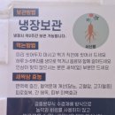 서신팜 | 새싹인삼 "서신팜 뿌리채먹는 프리미엄 새싹쌈"으로 면역력 올린 후기