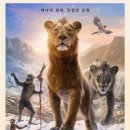 하쿠나컴퍼니 | 영화]무파사:라이온킹(Mufasa: The Lion King)-줄거리 캐릭터 분석 후기 심바 스카 타카 하쿠나 무사파 OST