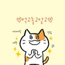주정차 단속 - 010 | 제천 국제음악영화제 주차후기
