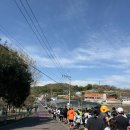 송백로-5 이미지