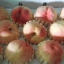 고려황토농원