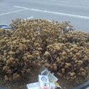 문화체육관광부 버스정류장 이미지