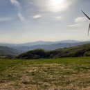 하백목장 이미지