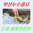광원아파트 | 부산 누수공사 ~ 수영구 광원 아파트 거실과 주방 천장 누수 피해 작업 후기 - ep.25.3.30.