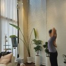 오늘의필라테스 | 하남 미사 오늘의 필라테스 추천 일대일 수업 후기