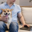 용산동물의료센터 이미지