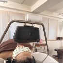 31140-7-55-28 | 임신 28주🤰🏻붓기제거&amp;순환필요할 때 강남헤드스파 "린싱풀림"산전관리 &amp; 헤드스파 후기