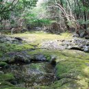 서홍동-10 이미지