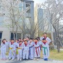 용인대 송라태권도장 이미지