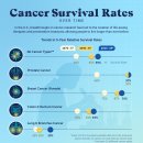 시간 경과에 따른 암 생존율 이미지