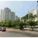 마곡서1로(서측) 이미지