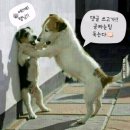 산양경로당 이미지