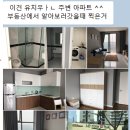 과정유치원 | 유치원교사 해외취업 베트남 하노이 한인유치원 취업과정, 면접, 급여, 근무 후기 진짜 싹 정리 2