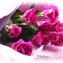 호동이 갈비 이미지