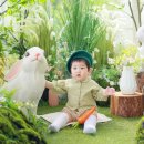 용인 베이비 파스텔 경기 본점 돌 촬영 후기 - 로켓, 레빗 가든, 전통 돌상(별채)