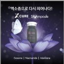 라라스킨앤네일