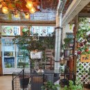 하루방능이백숙 이미지