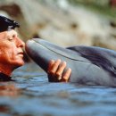 더코브(주) 이미지