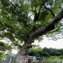 상주힐링별장 이미지