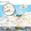 디펠리체 이미지