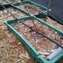 요한이네농장 이미지