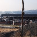 궁평목장 이미지