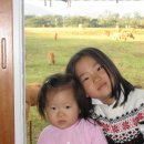 정현목장 이미지