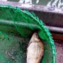 낚시터가든 이미지